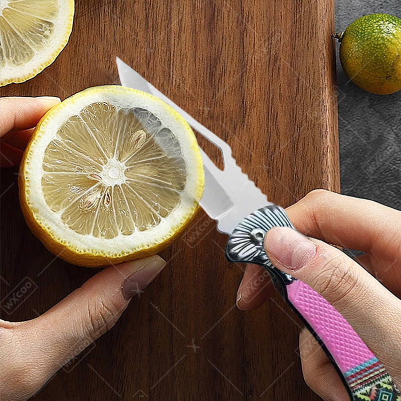 WXCOO Folding Knife Stainless  - Kitchen Q ulasan dan harga